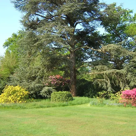 Hollybank House-2